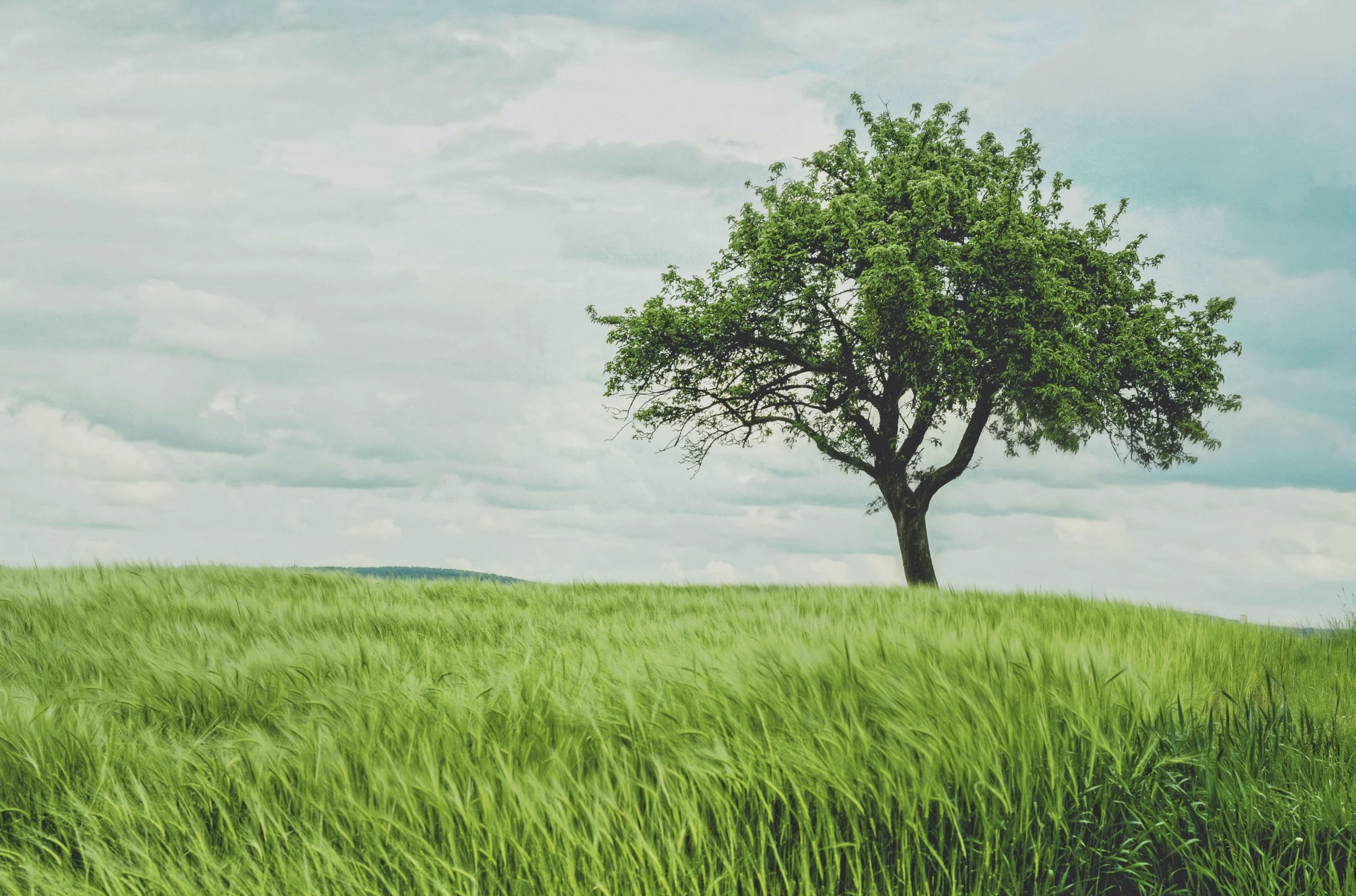 DIGNITY: THERE’S NEVER A GOOD REASON TO SETTLE